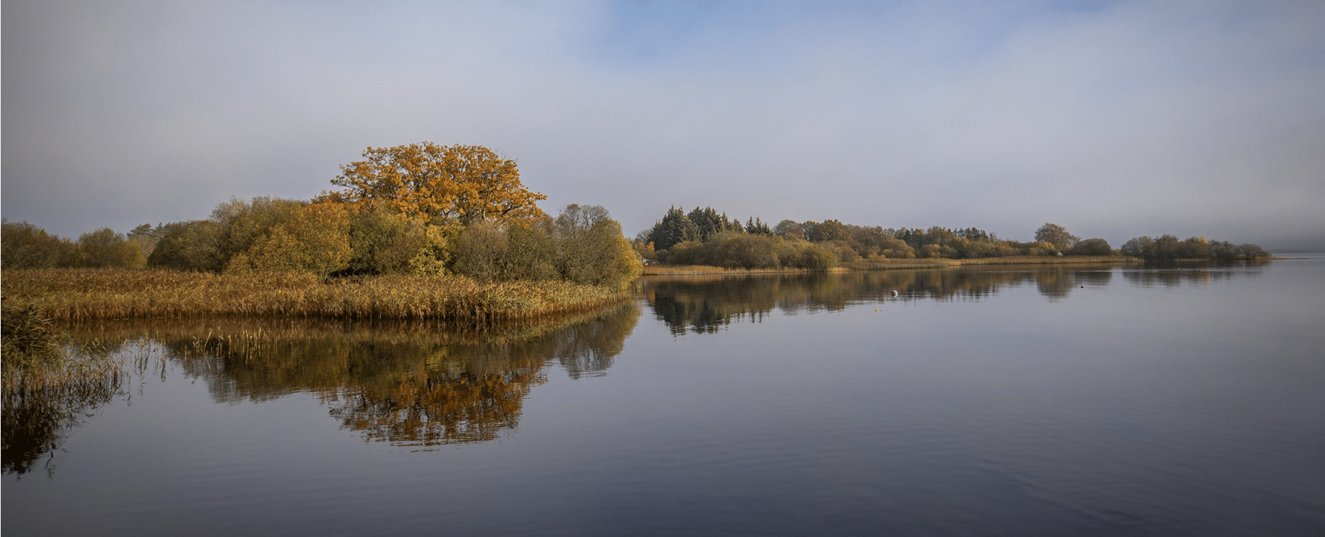 destination - lough Ree Distillery